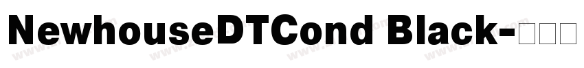 NewhouseDTCond Black字体转换